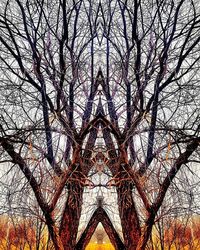 Low angle view of bare trees against sky