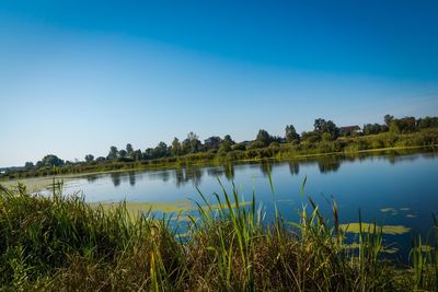 Scenic view of lake against clear blue sky