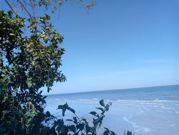 Scenic view of sea against clear sky