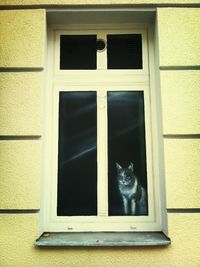 Close-up of window