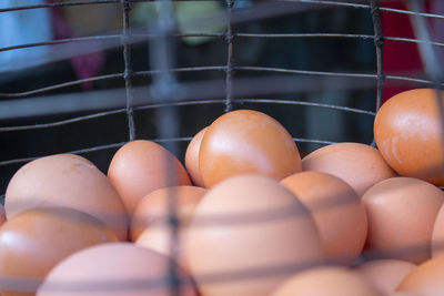 Close-up of eggs in container