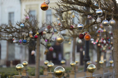 Close-up of xmas decoration hanging on tree against building