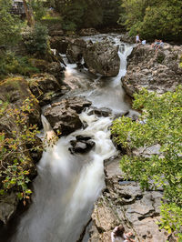 Scenic view of waterfall in forest