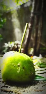 Close-up of fruit on table