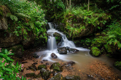 View of waterfall in forest