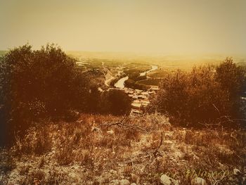 Scenic view of field against clear sky