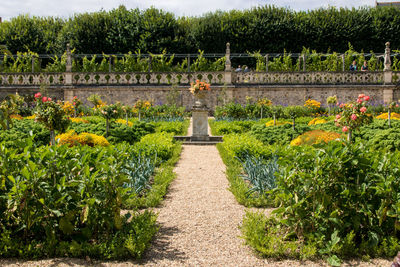 The château de villandry is a renaissance castle mixing architecture and gardens 