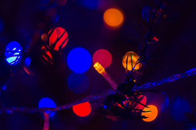 Close-up of illuminated lantern at night