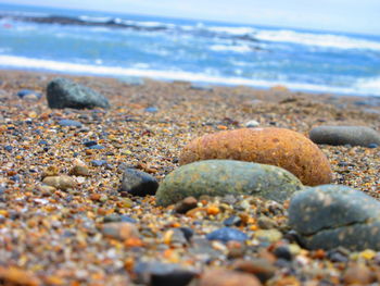 Close-up of pebbles on beach against sky