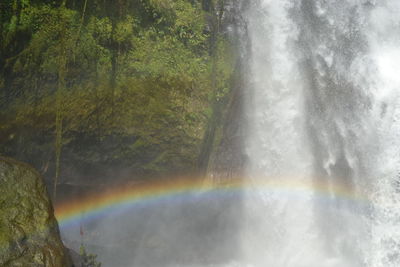 Scenic view of waterfall