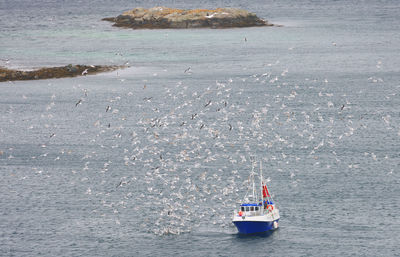 Boats in sea