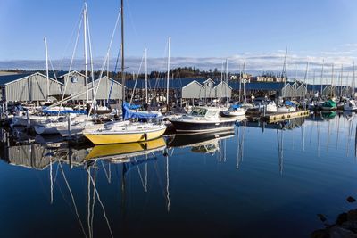 Sailboats moored in harbor against sky