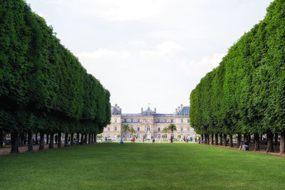 Luxembourg palace view with rows of trees in front. famous palace and park in paris, france