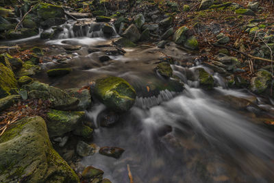 Stream flowing through rocks in forest