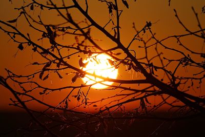 Silhouette bare tree against romantic sky at sunset