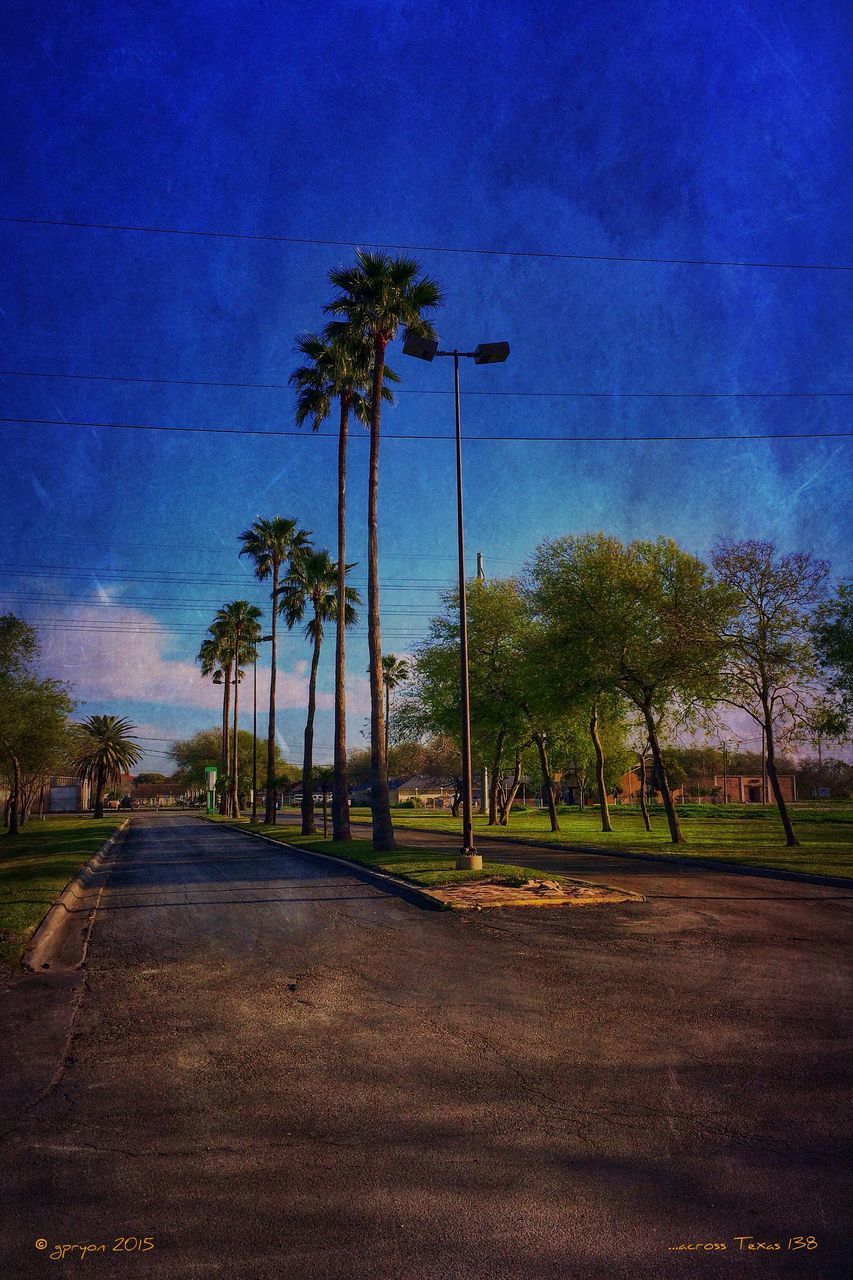 tree, road, palm tree, the way forward, street, sky, growth, tranquility, transportation, street light, nature, tranquil scene, empty road, road marking, blue, empty, outdoors, green color, asphalt, no people