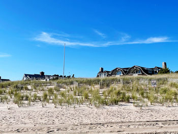 Scenic view of beach against blue sky