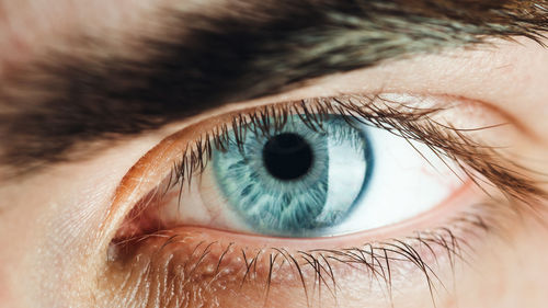 Beautiful blue eye of a boy macro shoot