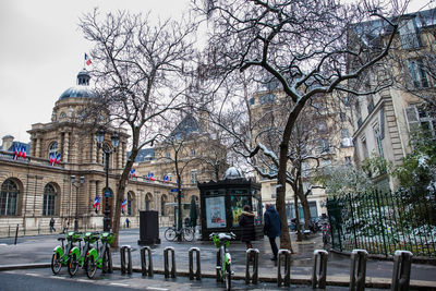 Trees and buildings in city against sky