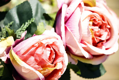 Close-up of rose bouquet