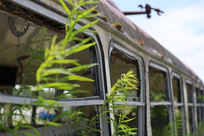 Low angle view of grass growing through windows of smashed bus