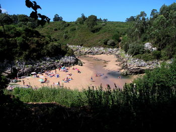 High angle view of trees by lake against sky