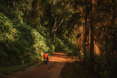 Rear view of men riding motorcycle on road in forest