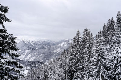 Scenic view of snow covered mountains against sky