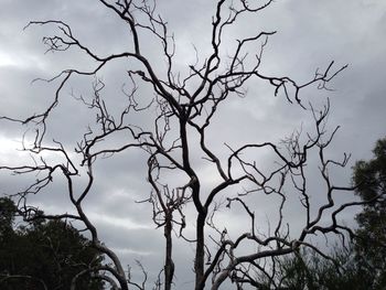 Low angle view of bare tree against cloudy sky