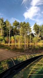 Road passing through trees