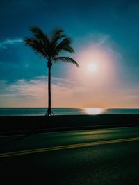 Silhouette palm tree on beach against sky during sunset