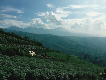 Scenic view of mountains against cloudy sky