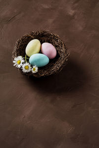 High angle view of flowers on table