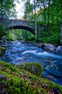 Bridge over river stream in forest