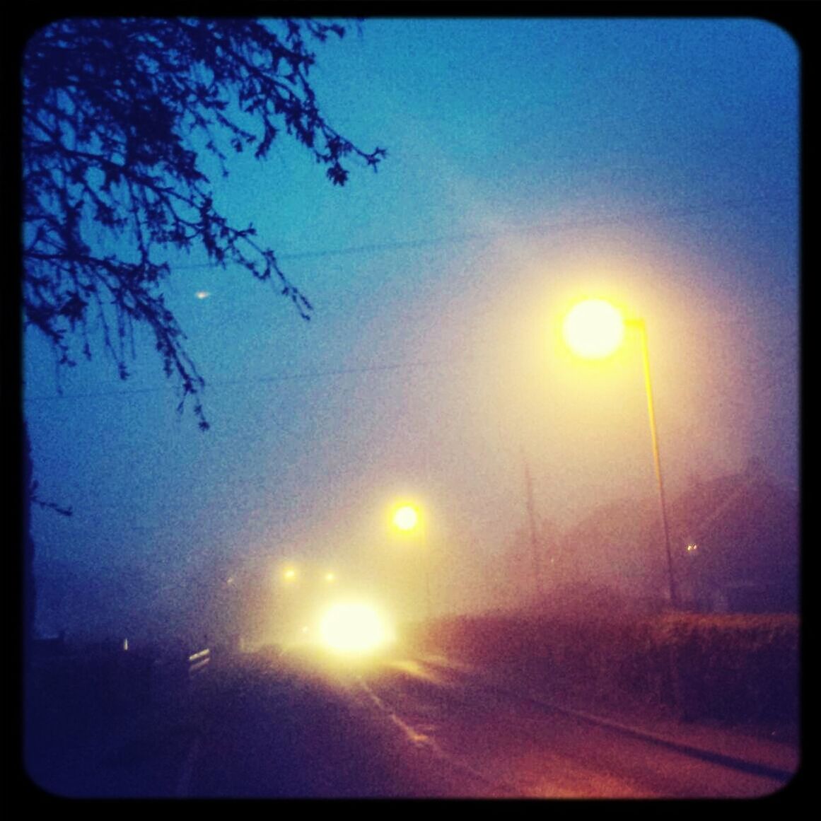 Foggymorning