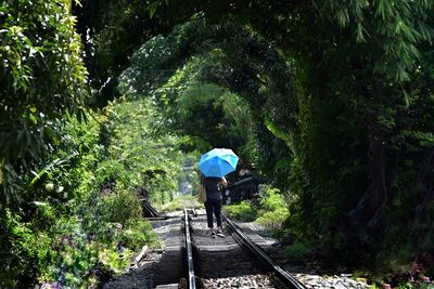 Rear view of man walking amidst trees in forest