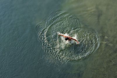 High angle view of man swimming in lake