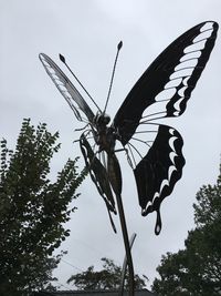 Close-up of butterfly on tree against sky