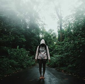 Rear view of people walking on footpath in forest