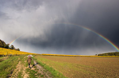 Little girl under an umbrella in the middle of the vineyards in autumn in burgundy under a rainbow