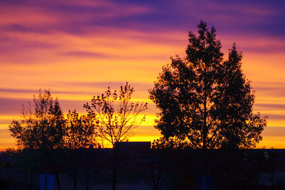 Silhouette tree by plants against romantic sky at sunset