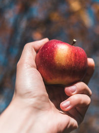 Cropped hand of woman holding apple outdoors