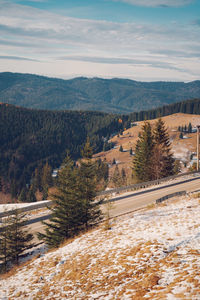 Scenic view of pine trees against sky during winter