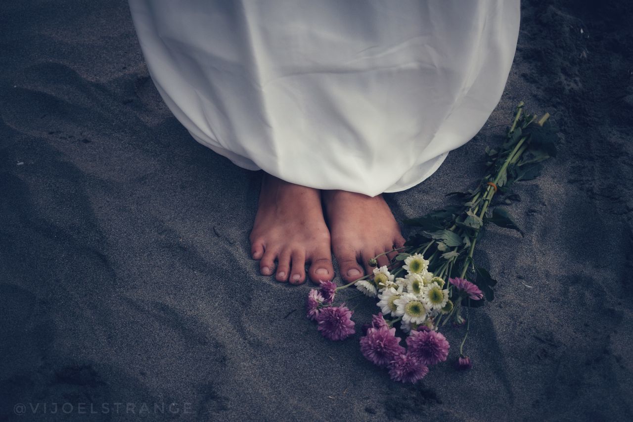 HIGH ANGLE VIEW OF HAND HOLDING BOUQUET OF WHITE FLOWER