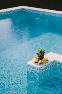 High angle view of fruits by swimming pool