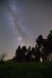 Trees on field against sky at night