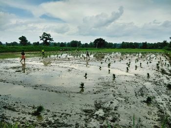 Panoramic view of man on field against sky