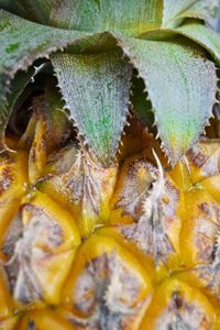 Full frame shot of fruits