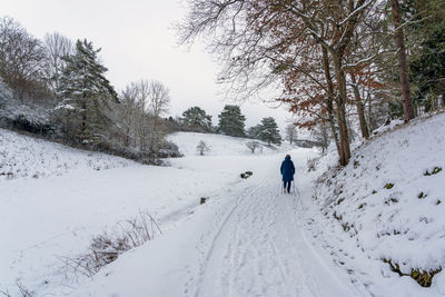 Snow landscape