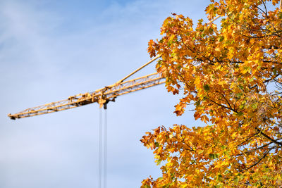 Low angle view of crane against sky during autumn